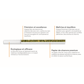 Cigarettes CBD Amnesia COAST