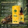 Extrait de Champignon Chaga MYXILLUIM  30 ml | PLANT OF LIFE