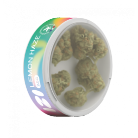 Fleur de CBD Lemon Haze 2.5g - IZI
