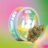 Fleur de CBD Lemon Haze 2.5g - IZI