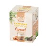 Cappuccino au chanvre Caramel  10 sachets | MULTITRANCE