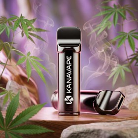 Pod CBD Kanavape Fresh Berry 2x2ml - 400mg CBD