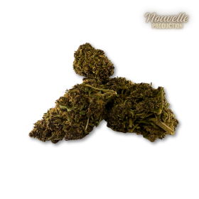 Fleur CBD Saphire Hybride Indoor