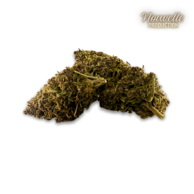 Fleur CBD Saphire Hybride Indoor