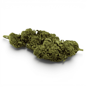 Fleur de CBD Super Skunk Indoor