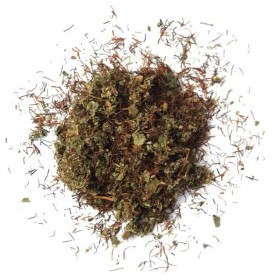 Mélange de plantes | L'AVENTURIÈRE (25G)