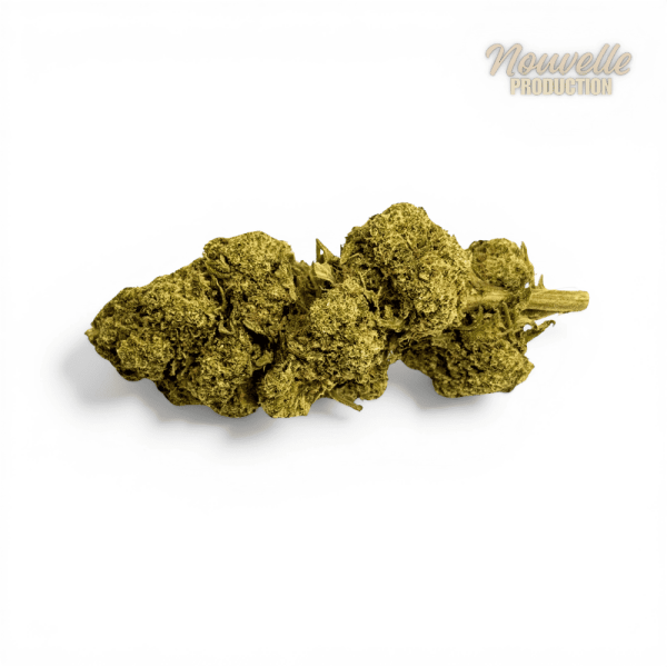 Fleur Tropical Haze