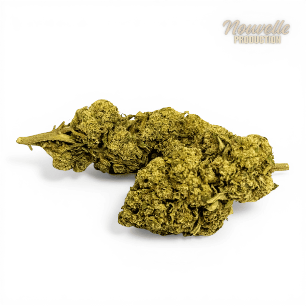 Fleur Tropical Haze 2.0 CBDX (CBD Xtrem) NL-1 12,5% Indoor