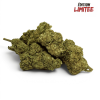 Fleur Candy Kush CBDX