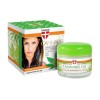 PALACIO Crème Visage au Chanvre 50 ml – Soin Régénérant 24h