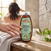 Shampoing 2 en 1 au chanvre et menthol PALACIO – Fraîcheur intense