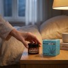 PALACIO Crème de Nuit Lifting au Reishi et CBD 50 ml