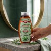 PALACIO Gel Douche Cannabis & Romarin 3-en-1, 500 ml