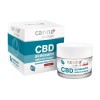 Cannabellum Crème Visage CBD Anti-Acné Peaux à Problèmes 50 ml
