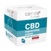 Cannabellum CBD Crème Régénérante Visage au Chanvre 50 ml