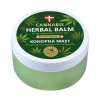 Pommade aux Herbes au Chanvre – Soin Régénérant, 100 ml Palacio
