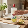 EcoCannabis Liquide Vaisselle au Chanvre, 1000 ml Palacio