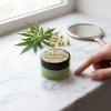 Baume à lèvres au chanvre BIO – Soin réparateur, 25 g Palacio