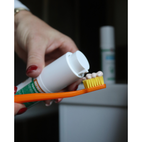 Dentifrice à l'huile de chanvre et orange Refreshing, 75 g Palacio