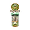 Sucette cannabis hash - 100 pcs | MULTITRANCE