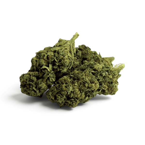 Fleur de CBD Tropical Haze Indoor