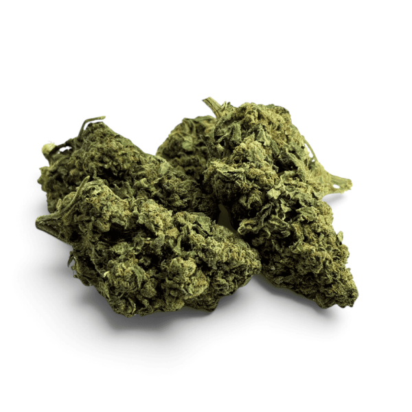 Fleur de CBD Tropical Haze Indoor