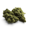 Fleur de CBD Tropical Haze Indoor