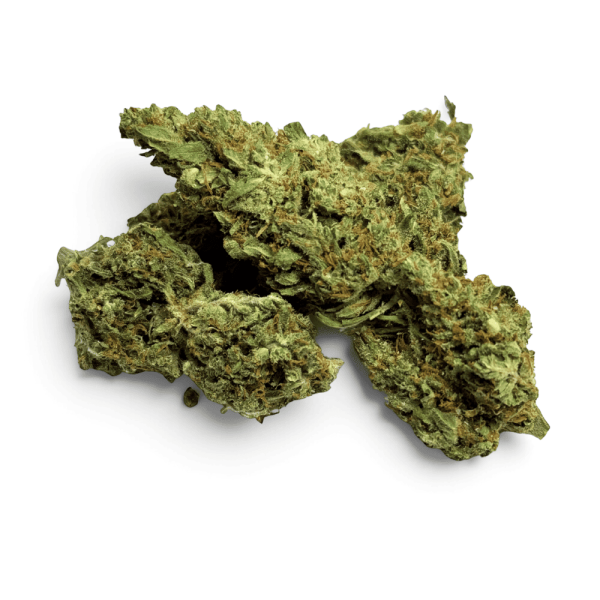 Fleur de CBD Mango Kush Indoor