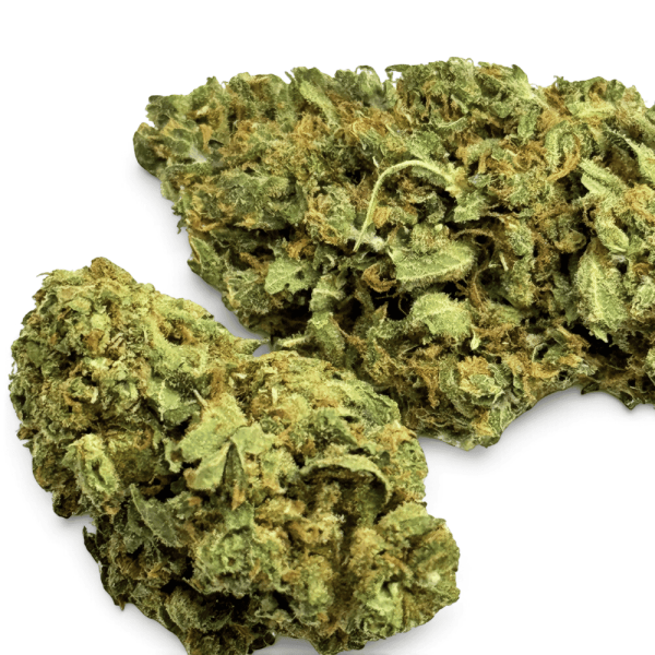 Fleur de CBD Mango Kush Indoor