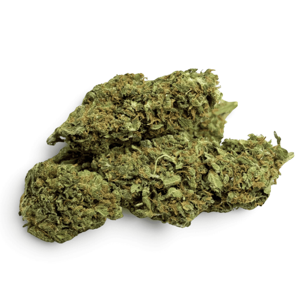 Fleur de CBD Mango Kush Indoor