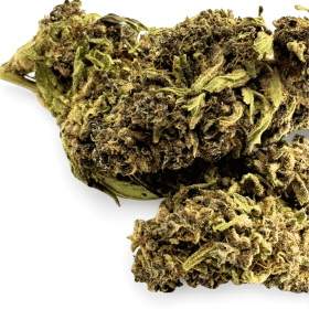 Fleurs CBD Purple Haze Greenhouse