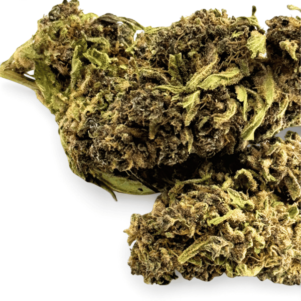 Fleurs CBD Purple Haze Greenhouse
