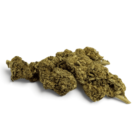 Fleur de CBD Lemon Pop Indoor