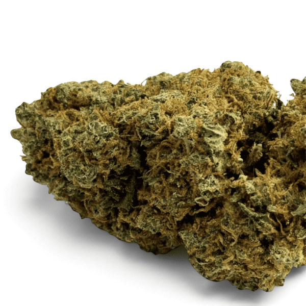 Fleur de CBD Orangello Indoor