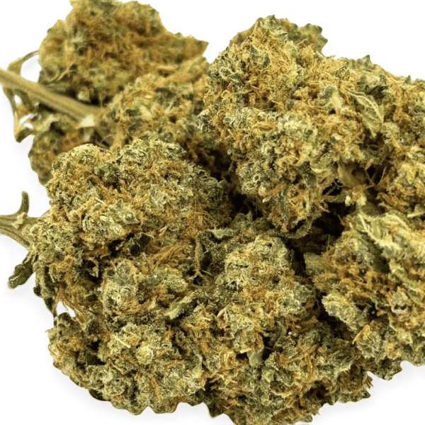Fleur de CBD Orangello Indoor