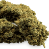 Fleur de CBD Plutonium Indoor
