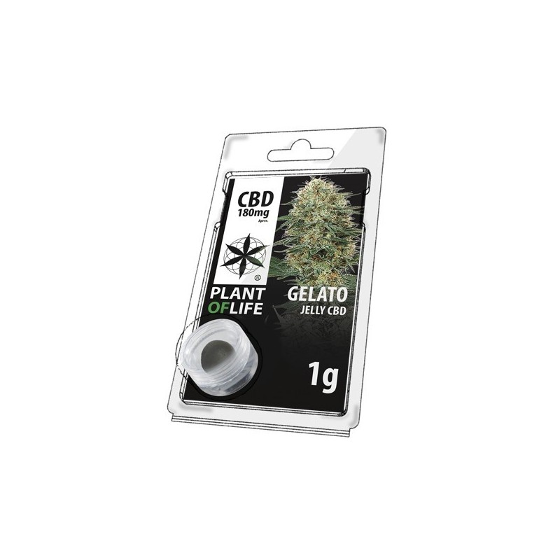 JELLY AU CBD 18%  GELATO 1g