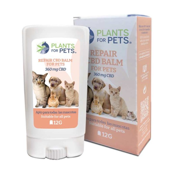 Baume réparateur cutané pour chats au CBD 360 mg