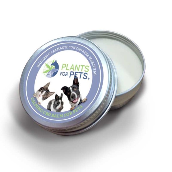 Baume apaisant pour chiens au CBD 600 mg