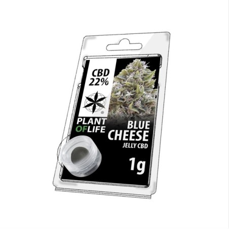 JELLY AU CBD BLUE CHEESE