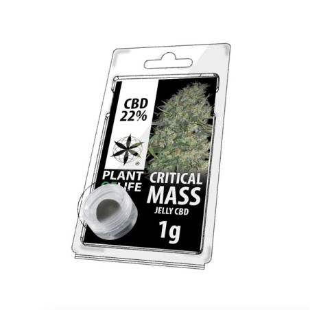 CBD 22% CRITICAL MASS