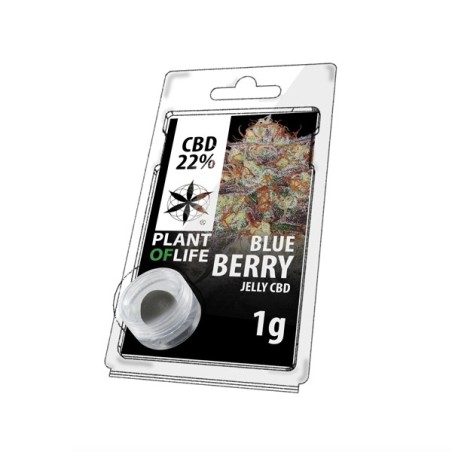 CBD 22% BLUEBERRY