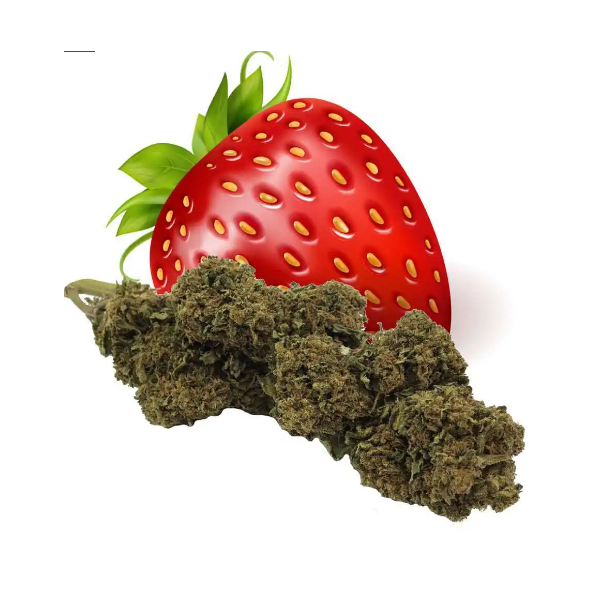 Strawberry Haze Fleur de CBD