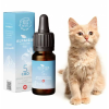 Huile de CBD Pets 5% Alpaisia pour Chat goût Poisson