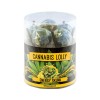 Sucettes CBD energy skunk | MULTITRANCE