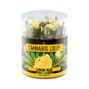 Sucettes CBD citron | MULTITRANCE