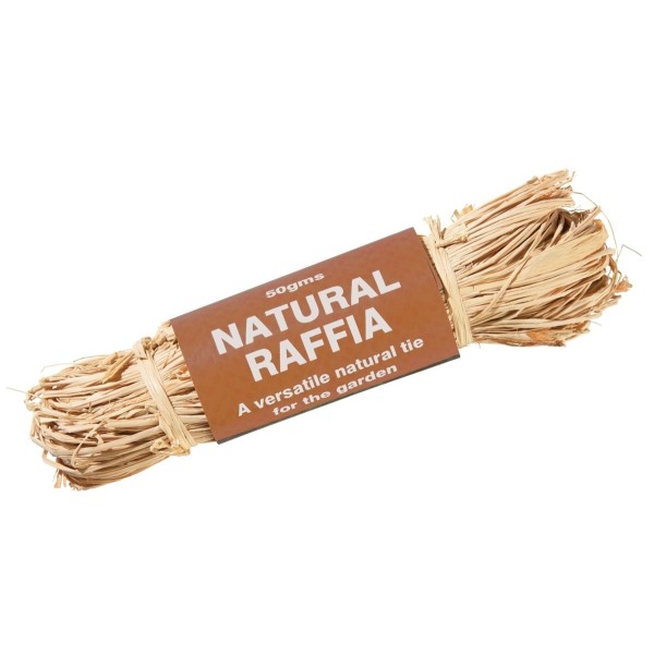 50g de raphia naturel