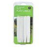 Étiquettes Blanches pour Plantes 15cm lot de 25