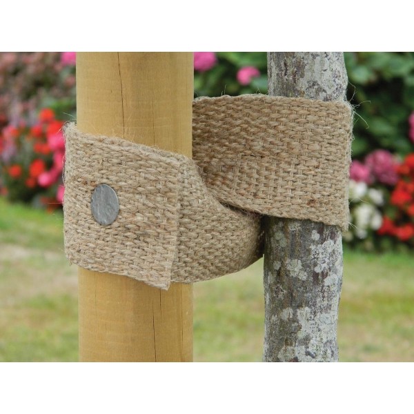 Attache d'arbre en toile de jute naturelle de 5 m x 5 cm