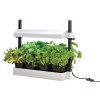 Lampe de Culture Micro Grow Light Jardin Blanc